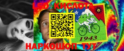 гашик Пыть-Ях