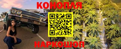 гашик Пыть-Ях
