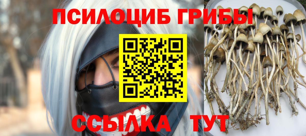 Галлюциногенные грибы прущие грибы  Вход с VPN  Алексеевка 